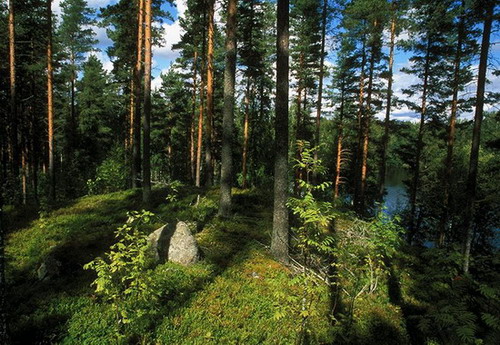 Фотография Финляндии. Озерный край. Чуб земли