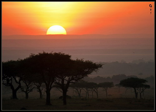 Фотография Кении. Там все было африканское.... Даже рассвет...